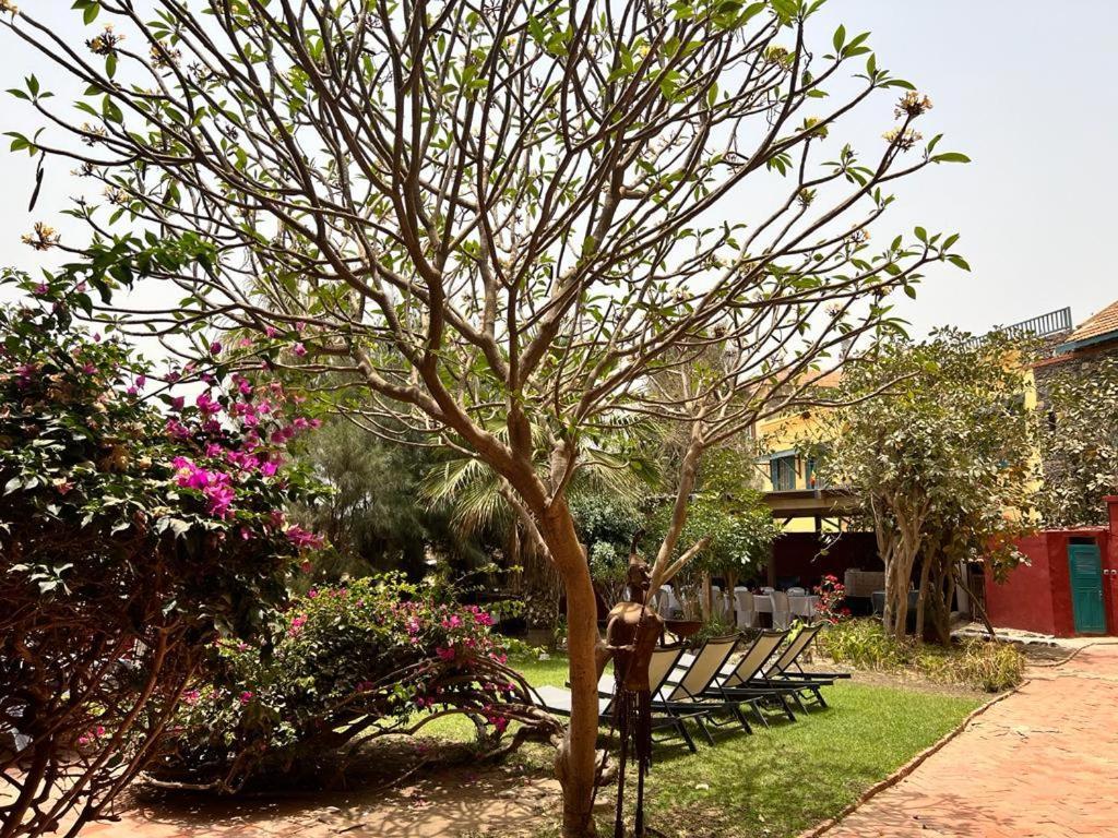 Chez Olivier - Ile De Goree Exterior photo